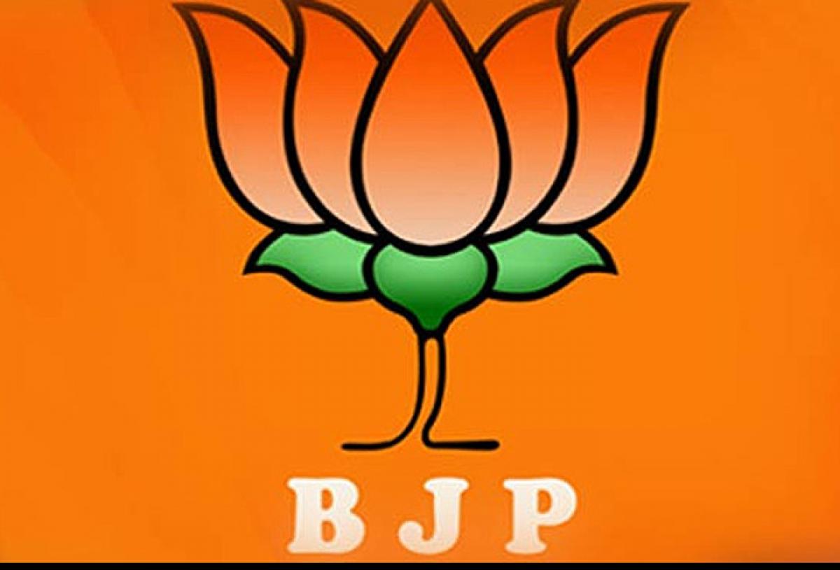 BJP undeterred by Bihar defeat